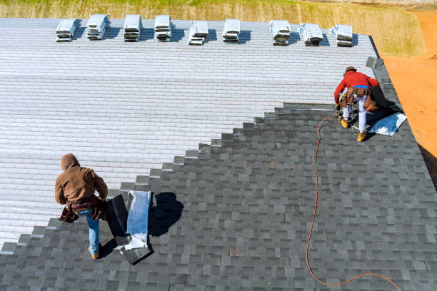 Best Roof Gutter Cleaning  in Dickinson, TX