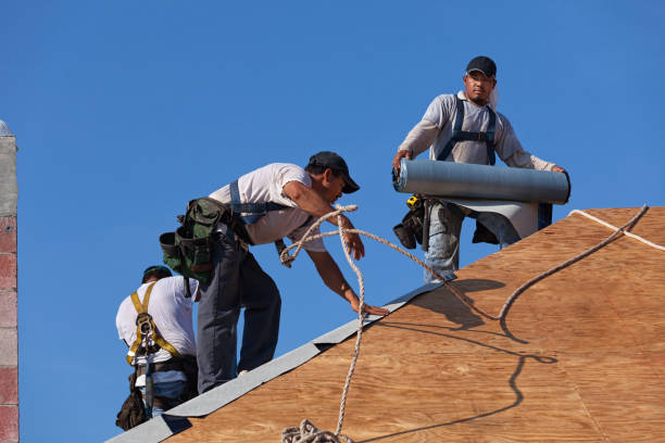 Best Local Roofing Companies  in Dickinson, TX