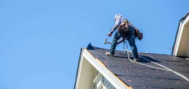 Best Gutter Installation and Roofing  in Dickinson, TX